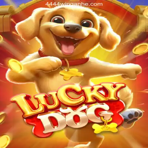 LuckyDog: A Thrilling Gaming Experience with 4444win