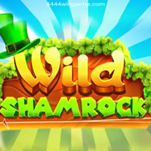 Exploring WildShamrock: Brazil's Leading Betting Platform